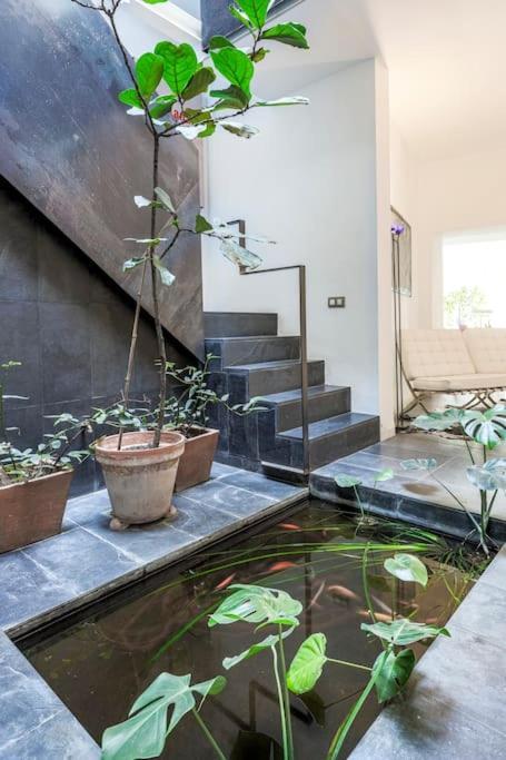 Exclusivo Apartamento De Diseno Centro Sevilla Matahacas Bajo 外观 照片