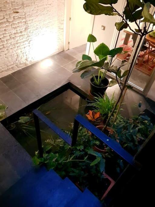 Exclusivo Apartamento De Diseno Centro Sevilla Matahacas Bajo 外观 照片