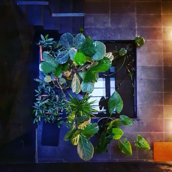 Exclusivo Apartamento De Diseno Centro Sevilla Matahacas Bajo 外观 照片